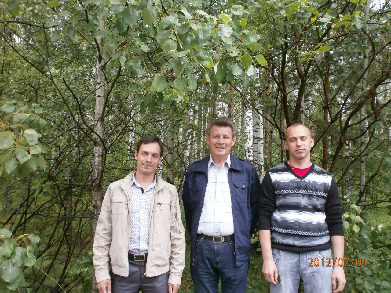 Синяки